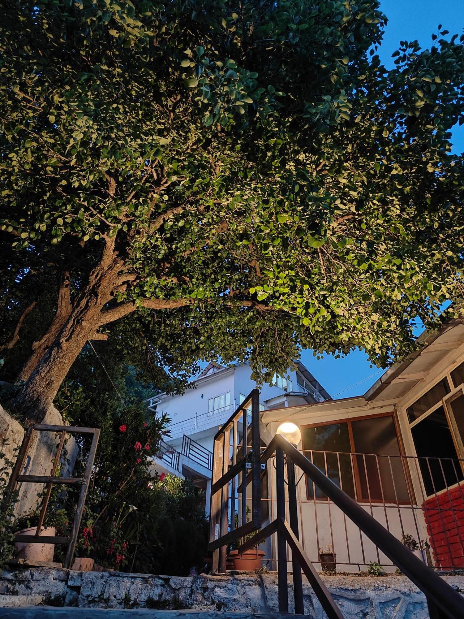 Woodpecker Nest By Lakes & Woods Mukteshwar Exterior photo